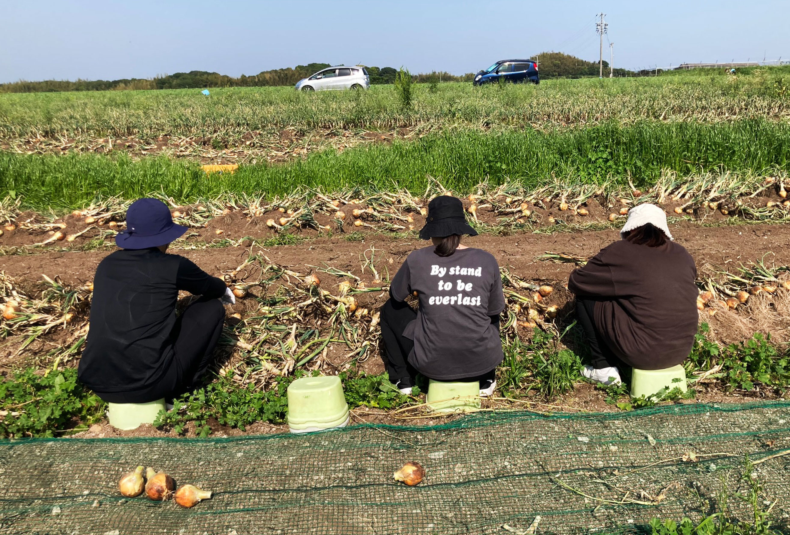 新入社員研修として農業体験へ！<br>研修に込められた熱き想いとは